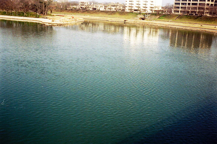 photograp, 2009 | winter, on bridge | 冬, 新鶴見橋 岡山