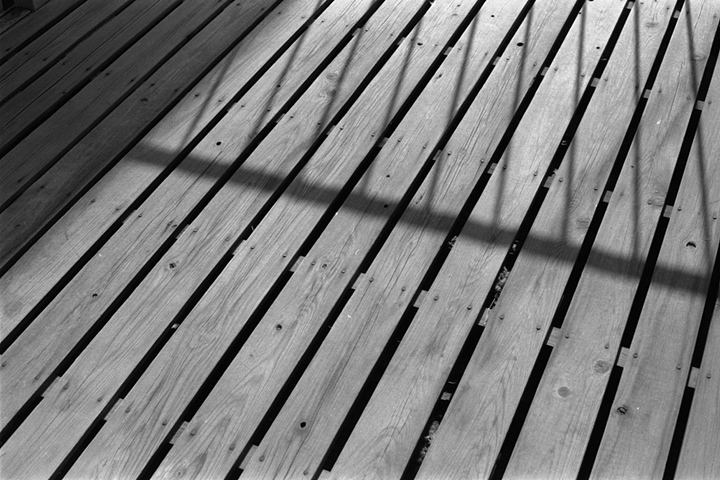 photograph, 2009 | spring, parallel lines | 春, 平行線