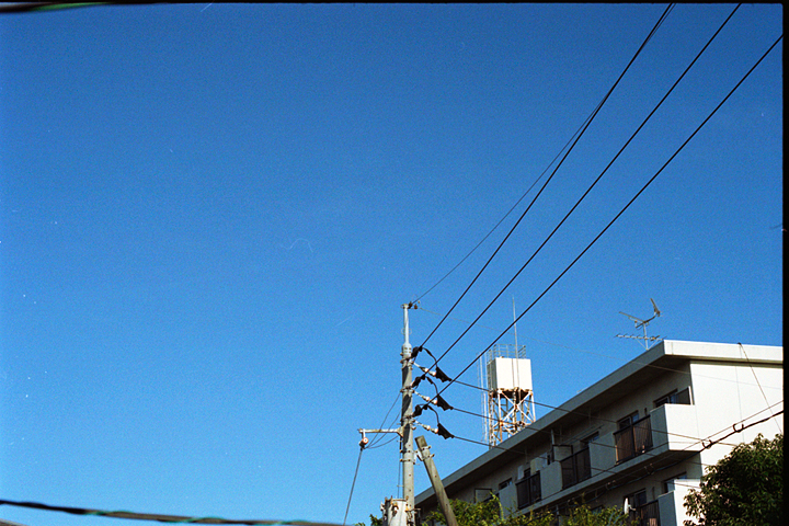 photograph, 2009 | summer, Tsushima Okayama | 夏, 津島 岡山