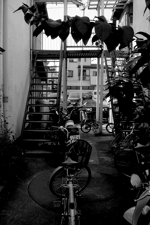 photograph, 2001 | Yayoi-so, Hashimoto | 弥生荘, 橋本