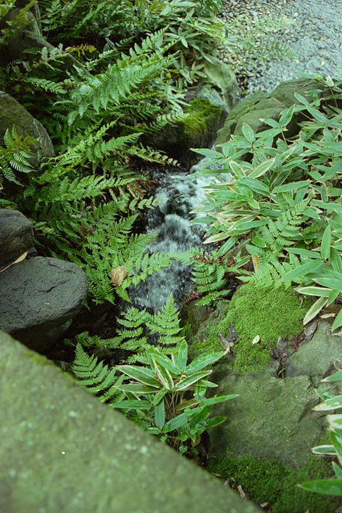 photograph, 2001 | Yoko-kan, Fukui | 福井, 養浩館庭園