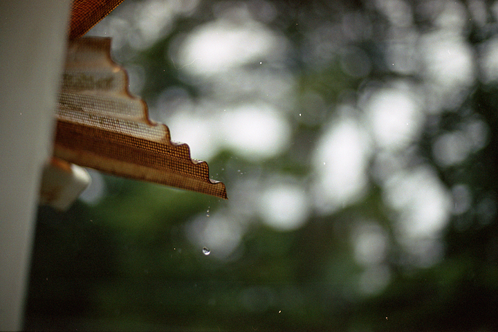 photograph, 2007 | water drops | 雨模様