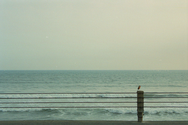 photograph, 2002 | Shichirigahama, Kamakura | 七里ケ浜, 鎌倉