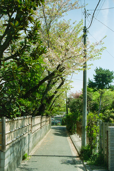 photograph, 2002 | Kamakura | 鎌倉