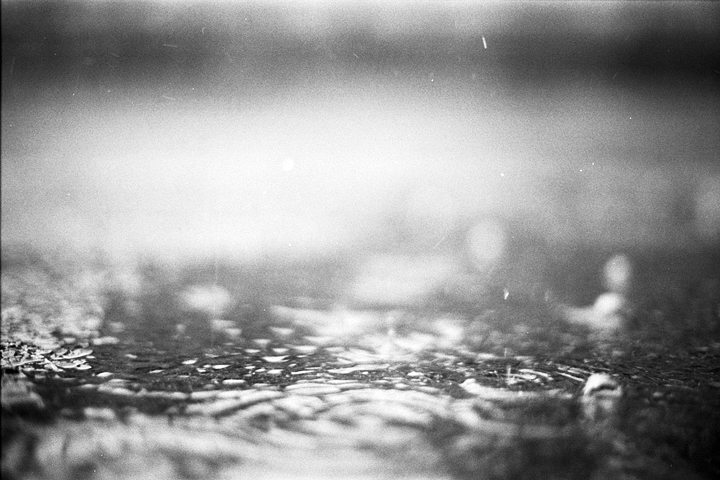 photograph, 2011 | rainy | 雨