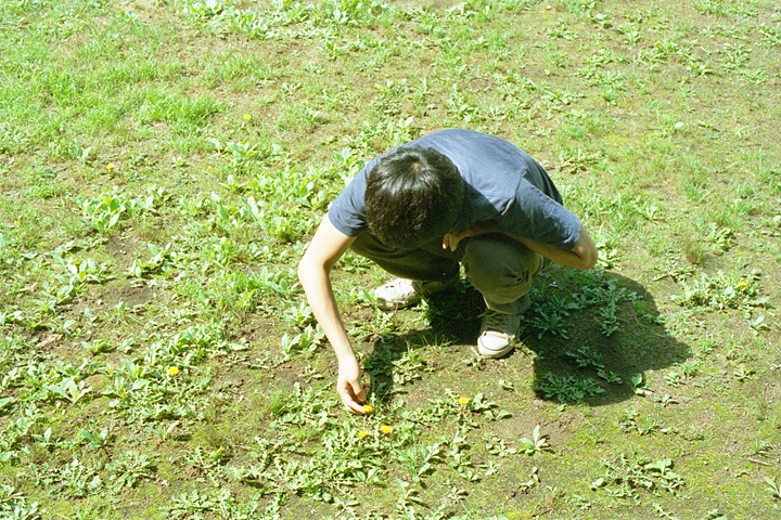 photograph, 2002 | Yamanakako-mura, Yamanashi | 純林苑, 山中湖村, 山梨