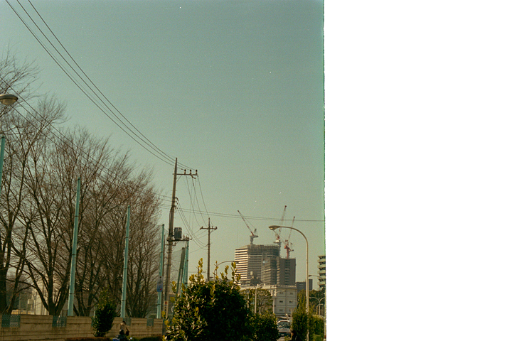 photograph, 2003 | spring, Hashimoto, Sagamihara | 春, 橋本, 相模原