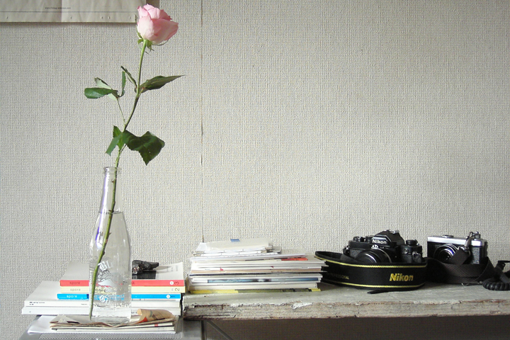 photograph, 2014 | autumn, rose | バラ