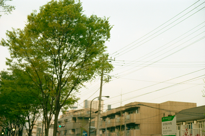 photograph, 2003 | spring, Hashimoto, Sagamihara | 春, 橋本, 相模原