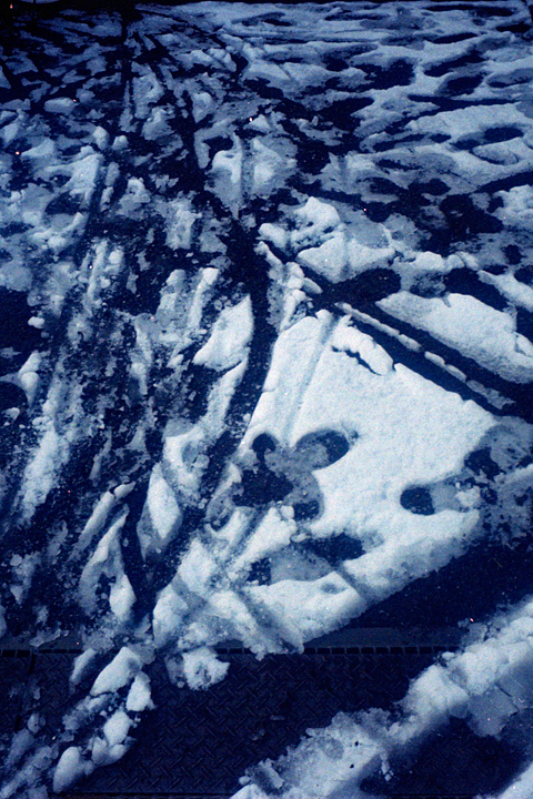 photograph, 2014 | winter, snow day, foot print, Okayama | 冬, 雪の日, 足跡, 岡山