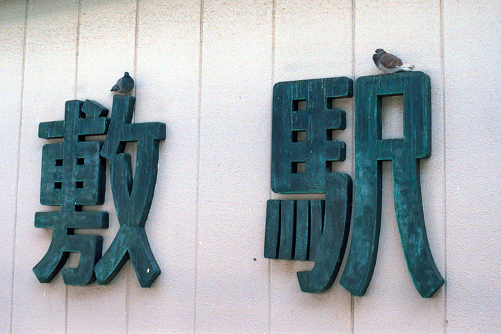photograph, 2014 | spring, pigeon, Kurashiki Sta. | 春, 鳩, 倉敷駅