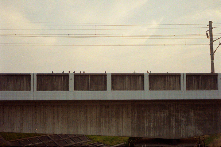 photograph, 2009 | spring, morning, Yamato-cho, Okayama | 春, 早朝, 港北大橋, 大和町, 岡山