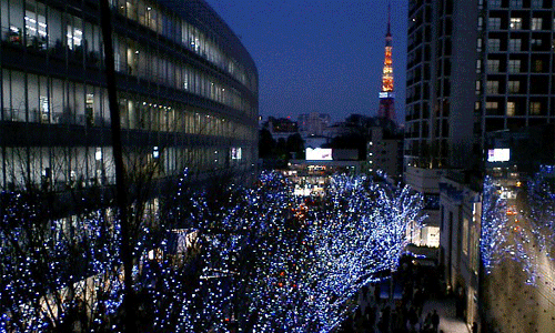 motion picture, 2003 | winter, Christmas illumination, Keyaki-zaka doori, Roppongi, Tokyo | 冬, イルミネーション, けやき坂通り, 六本木, 東京