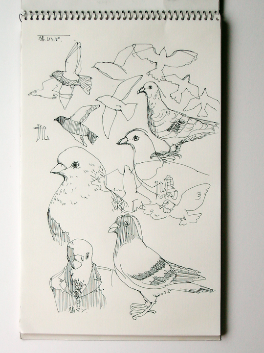 drawing, pigeons, ballpoint pen | スケッチ, ラクガキ, 鳩ぽっぽ, ボールペン