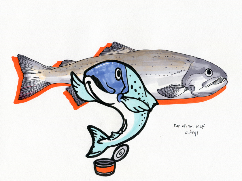 illustration, trout | イラスト, ますをかいた, リアルタッチの鱒と図案化された鱒キャラ