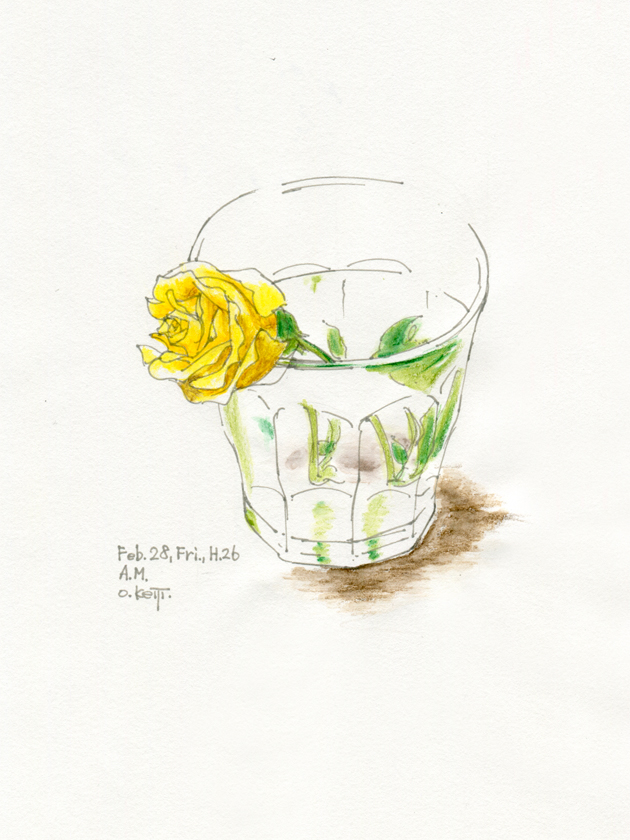 illustration, yellow rose | イラスト, Duralexに差した黄色のミニバラ