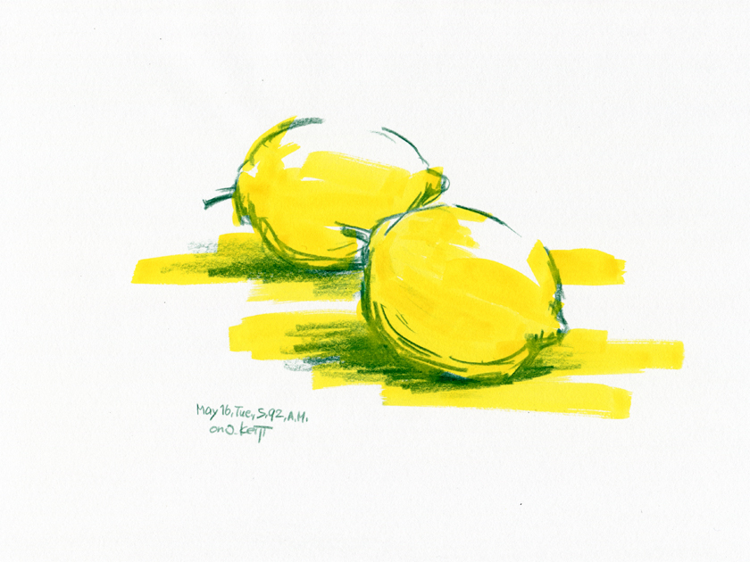 illustration, two lemon | イラスト, 2つのレモン